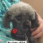 Donna Smith Sanborn - @dssanborn - Instagram