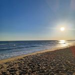 Donna Sarver - @chihuahuaboxermom - Instagram