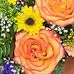 Donna Sarver - Facebook