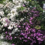 Donna Satterfield - @dm.satterfield - Instagram