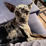 Donna Sawyer - @donnanumber5 - Instagram