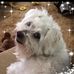 Donna Sayers - Facebook