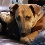 Donna Sayers - @sayers7320 - Instagram