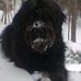 Donna Schell - Facebook
