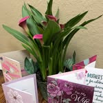 Donna Bruner Schmidt - @donna_schmidt_ - Instagram