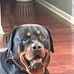 Donna Schmid - Facebook
