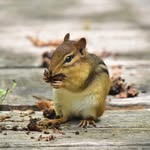 Donna Schmidt - @donnaschmidtphotography - Instagram