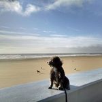 Donna Schmitt - @drschmitt408 - Instagram
