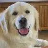 Donna Schnopp - @donna.schnopp - TikTok