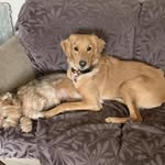 Donna Scholl - @donna.scholl - Instagram