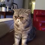 Donna Scholl - @scholl2866 - Instagram
