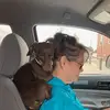 Donna Schrag - @donna.schrag7 - TikTok