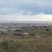 Donna Nook Seal Conservation - Facebook