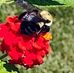 Donna Seal - Facebook