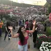 Donna Sellona - @donnasellona - TikTok