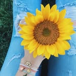 Donna - @donna.senna - Instagram