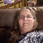 Donna Sergent - @sergentdonna - Instagram