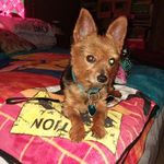 Donna Settle - @donnakaysettle - Instagram