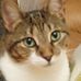 Donna Settle - Facebook
