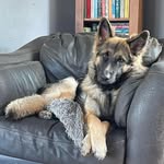 Donna Shayler - @shaylerdonna - Instagram