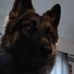Donna Shayler - Facebook