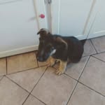Donna Shepard - @donnashepard215 - Instagram