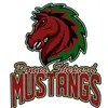 Donna Shepard Kids - @donnashepardmustangs - TikTok