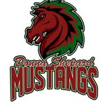 Donna Shepard Mustangs - @donna_shepard_mustangs - Instagram