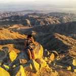 Donna Shimmin - @donnashim - Instagram