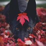 Donna M. Shinn - @donna.m.shinn - Instagram
