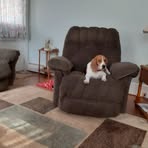 Donna Shipton - Facebook