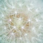Donna Shirk - @donnashirk - Instagram