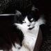 Donna Shively Turner - Facebook