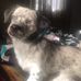 Donna Shook - Facebook