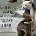 Donna Shook - Facebook