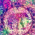 Donna Shook - @bigredshook - Instagram