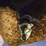 Donna Shotwell - @dshotwell5 - Instagram