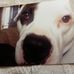 Donna Shrum - Facebook