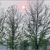 Donna Shubert - Facebook