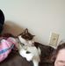 Donna Shuck - Facebook
