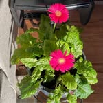 Donna Shuck - @donnashuck - Instagram