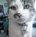 Donna Shuck - Facebook