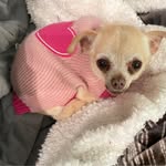 Donna Blumenfeld Shultz - @donna_shultz - Instagram