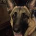 Donna Shupe - Facebook