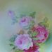 Donna Shuster - Facebook