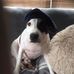 Donna Shute - Facebook