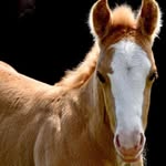 Donna Sievers - @donna_sievers602 - Instagram