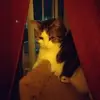 buffy - @donnasikes - TikTok