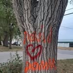 Donna Marie Sikes - @dmienn417 - Instagram