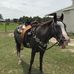 Donna Sikes - Facebook